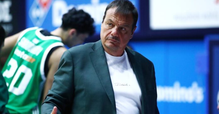 ataman_0.jpg