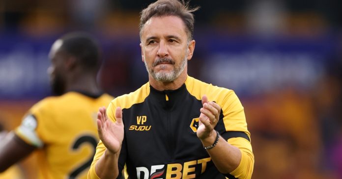 vitor_pereira_wolves.jpg