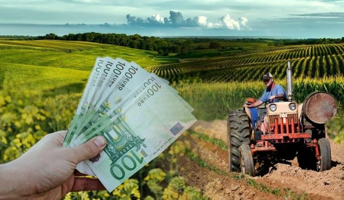 agrotes-13.jpg