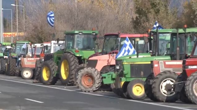 agrotes-9.jpg