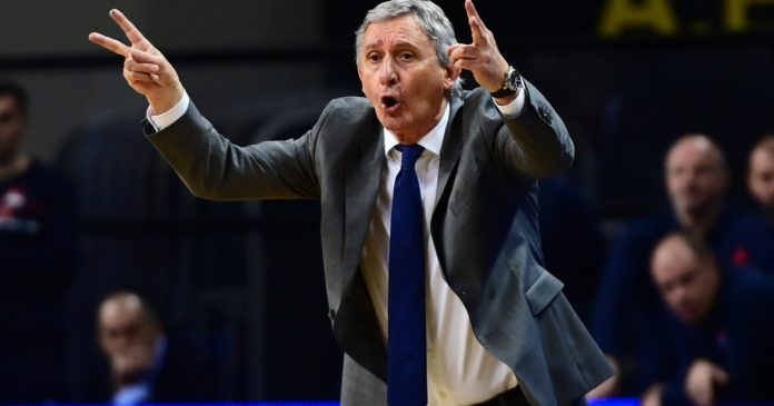 pesic.jpg