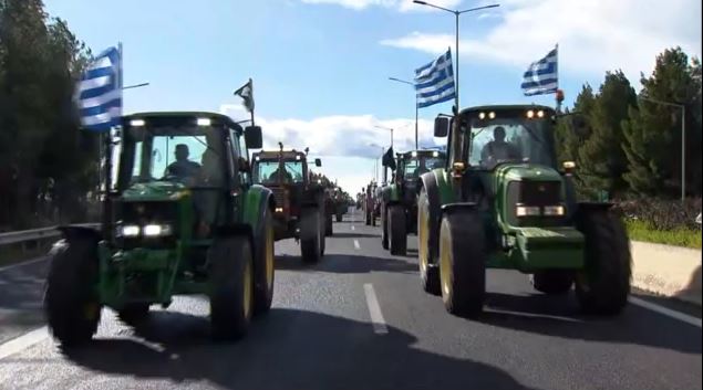agrotes-8.jpg