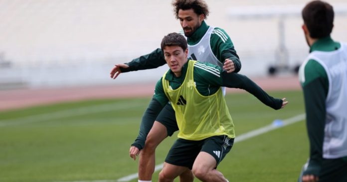 panathinaikos_7.jpg